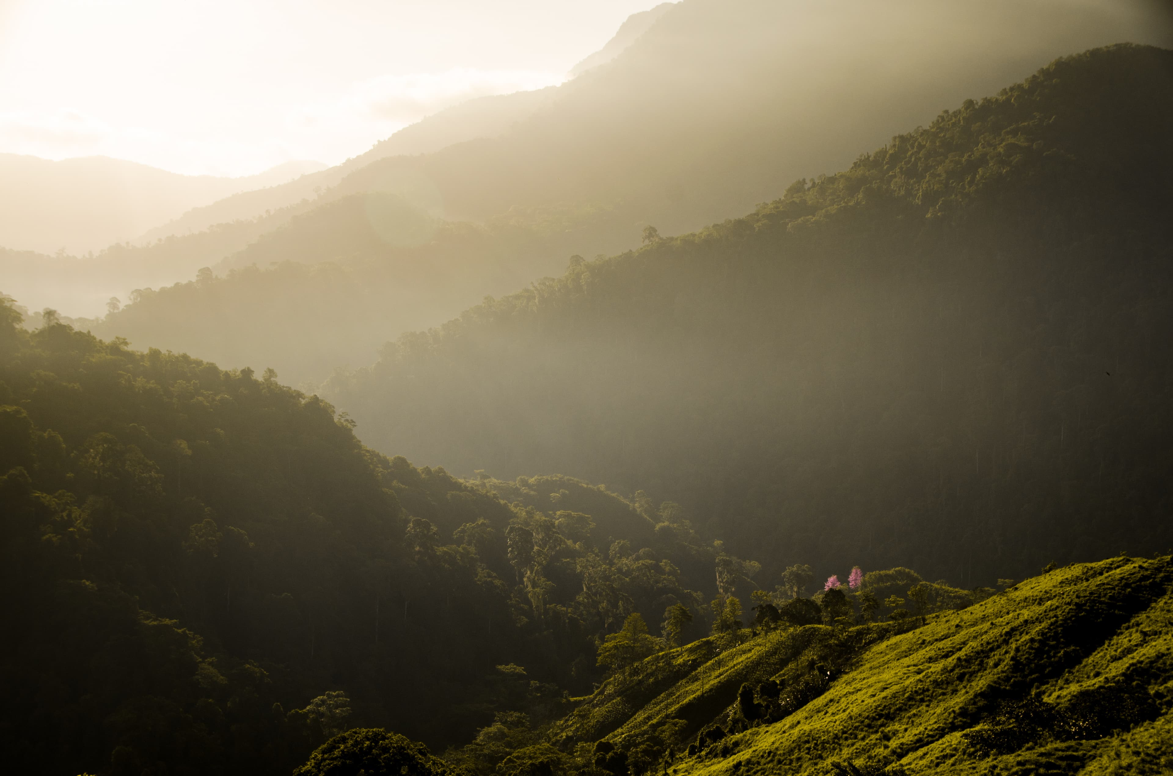 Misty Colombian Andean mountains at golden hour